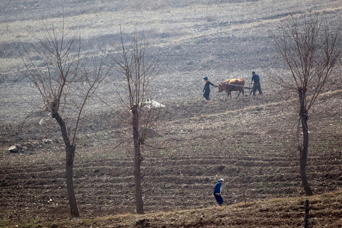 North Korean farmers work in the fields near Sinuiju. (Johannes Eisele/AFP/Getty Images)